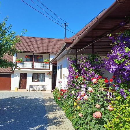 Casa Sallai Appartement Sovata Buitenkant foto
