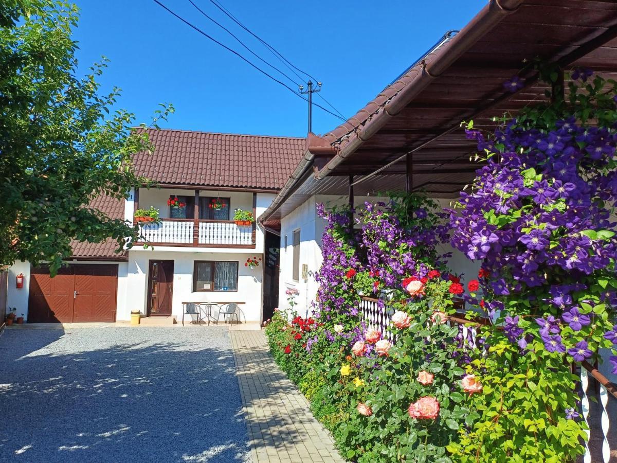 Casa Sallai Appartement Sovata Buitenkant foto